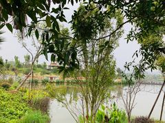 -枫香湖儿童公园