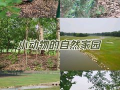 -南海子公园