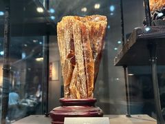 -烟台自然博物馆