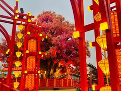 -中华郡文化旅游景区
