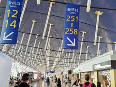 -上海浦东国际机场-T2航站楼
