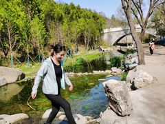 -白水寺森林公园
