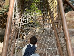 -杭州开元森泊度假乐园