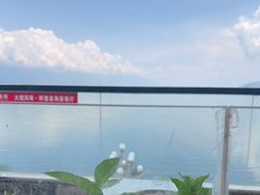-野菌皇海景野生菌火锅(滨海大道店)