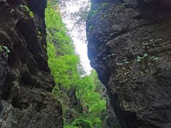 -野三坡百里峡景区