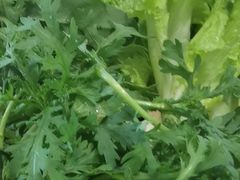 -千牛将·鲜牛肉火锅(开元路店)