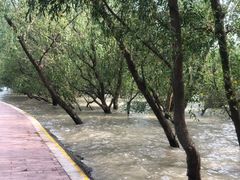 -宝安西湾红树林湿地公园