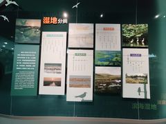-中国湿地博物馆