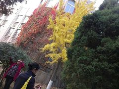 android_upload_pic-辽宁大学(崇山校区)