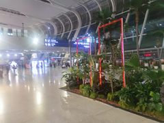 -合肥新桥国际机场-航站楼