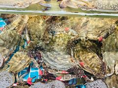 -北戴河庆山饭店·海鲜砂锅粥(北戴河黑石路店)
