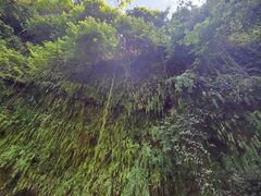 -海口火山口国家地质公园