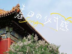 -雍和宫