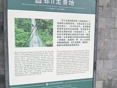 -亚龙湾热带天堂森林公园