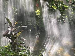 -呀诺达热带雨林