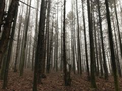 -山王坪喀斯特国家生态公园