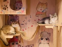 -袖虎·猫馆(体育西路店)