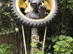 -西双版纳原始森林公园