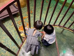 -酷嗒动物文化乐园(cutezoo西溪乐天城店)