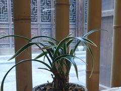 景观位-竹里馆·淮扬菜·功夫茶(老门东店)