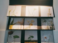 -喜茶(佛山顺德容桂天佑城店)