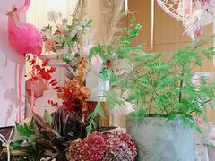 -蝶舍·MAISON PAPILLON