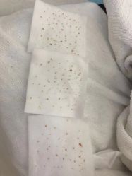 -痘敏医生专业祛痘·肌肤修复连锁