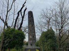 -上海佘山国家森林公园天马山园