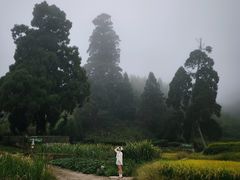 -云中大漈