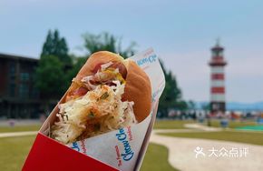 German Sauerkraut Sausage Hot Dog