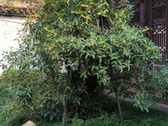 -浙江省博物馆(孤山馆区)