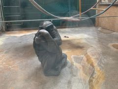 -石家庄市动物园