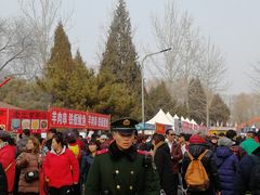 -朝阳公园游乐园