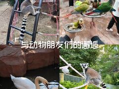 -灵玲国际马戏城