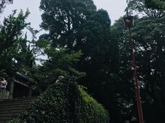 -青岛崂山太清宫