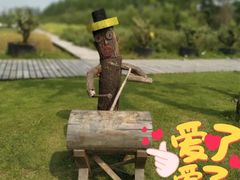 -前小桔亲子创意农场·草莓采摘·露营烧烤