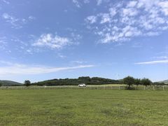 -御道口草原森林风景区