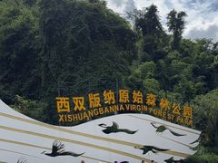 -西双版纳原始森林公园