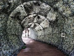 -北海金海湾红树林生态旅游区