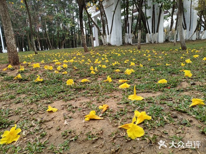 滨海公园图片