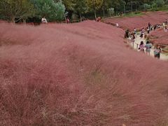 -牛岗山公园