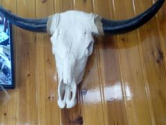 -传统手工面