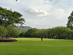 -顺峰山公园