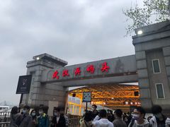 -武汉关码头(轮渡站)