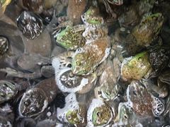 -大理.老字号渝记酸萝卜乌鱼(古城总店)