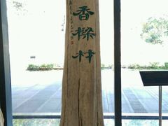 -中国沉香文化博物馆