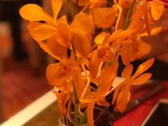 -咖啡苑 - 蔚藍夏日限定主题(永利皇宫店)
