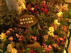 -1912街区