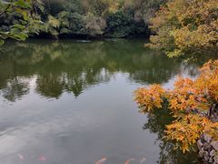 -合肥野生动物园