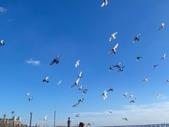 -星海广场